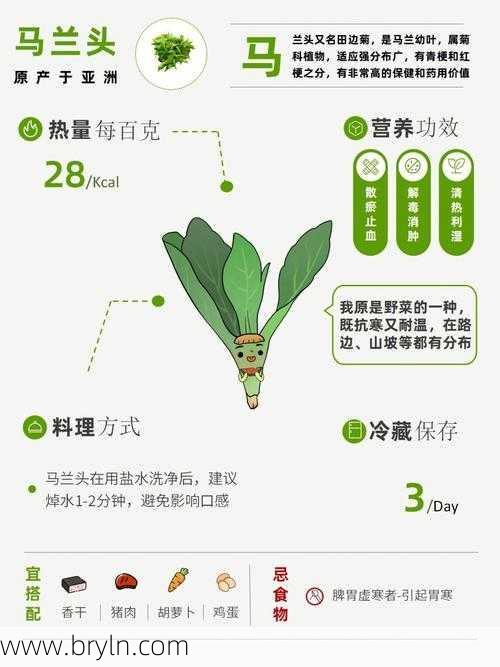 马齿苋功效与作用()