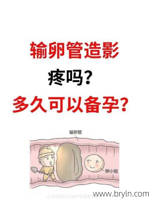 做造影疼吗？多久可以要孩子