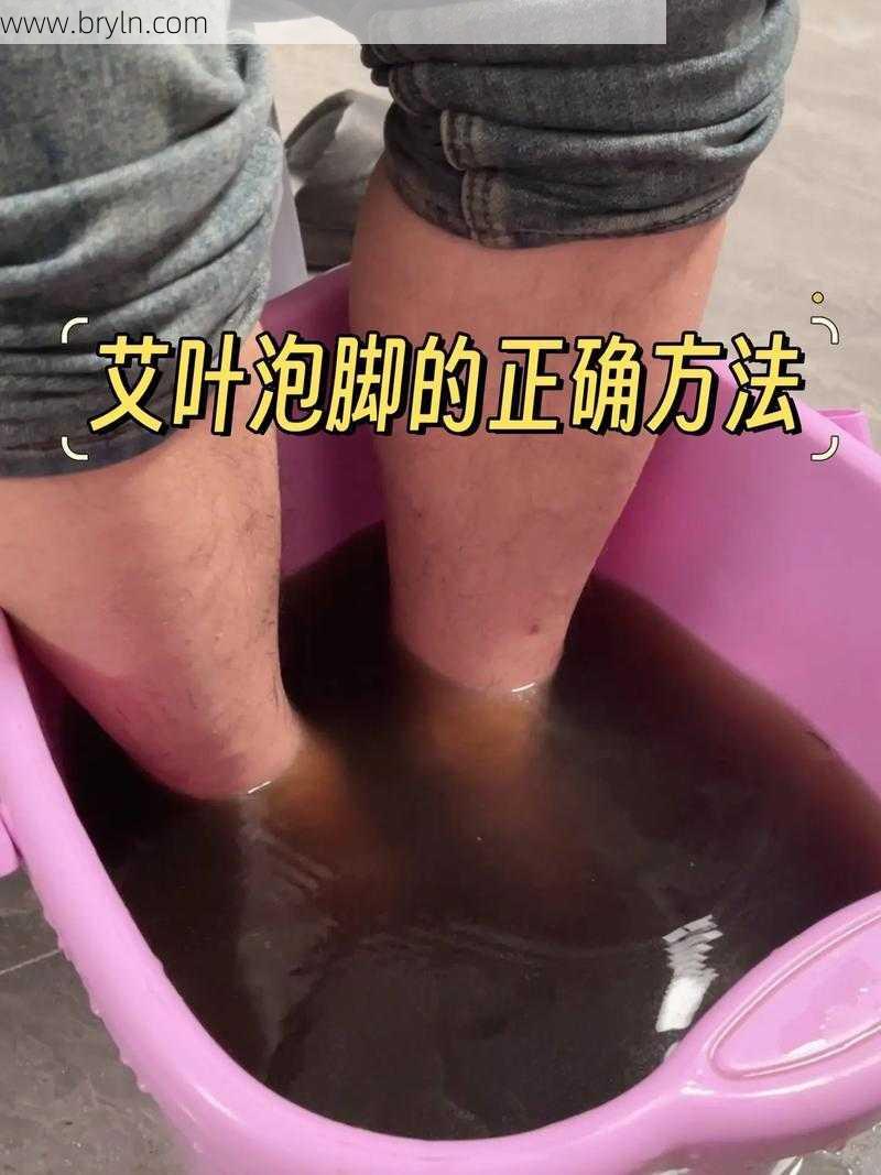 艾蒿泡脚()