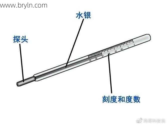 体温计要测几分钟(【便民】居家如何准确用水银体温计测量体温？来学一下→)