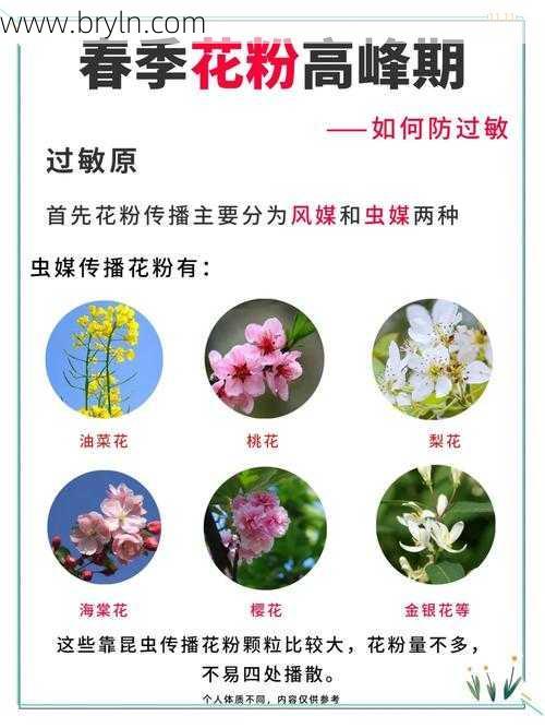 进入花粉高峰期，花粉过敏怎么办