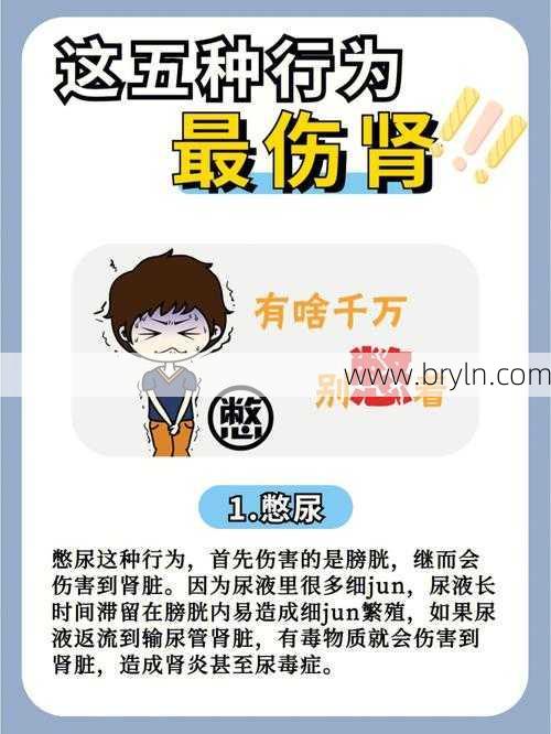肾毒性，你了解多少