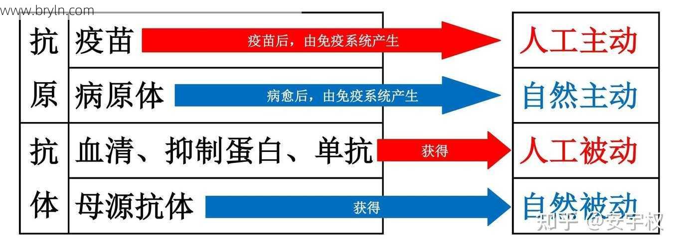 抗体和抗原的区别(科普：抗原和抗体的区别)