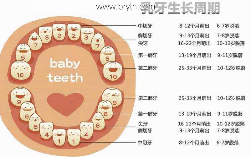 宝宝出牙晚是缺钙吗？什么时候长牙才正常？