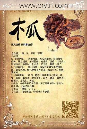 吃木瓜的禁忌(深度解读木瓜的营养价值及使用禁忌)