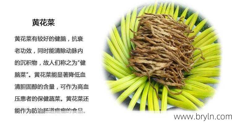 干黄花菜能治痛风吗 你了解痛风吗
