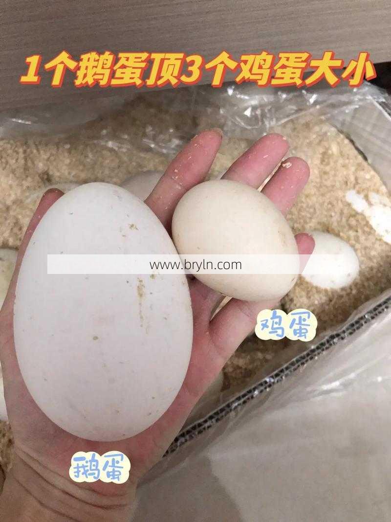 孕妇吃鹅蛋好吗()