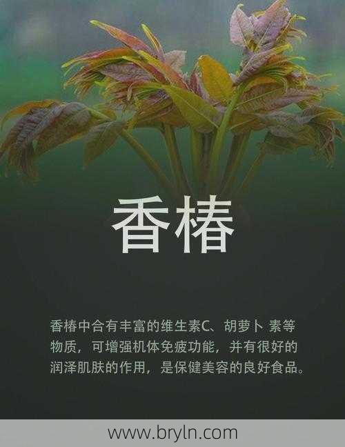 孕妇能吃香椿吗？香椿的功效与作用