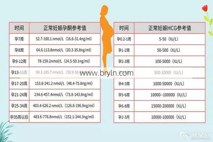 hcg血检(hcg检查挂什么科 hcg检查前注意事项)