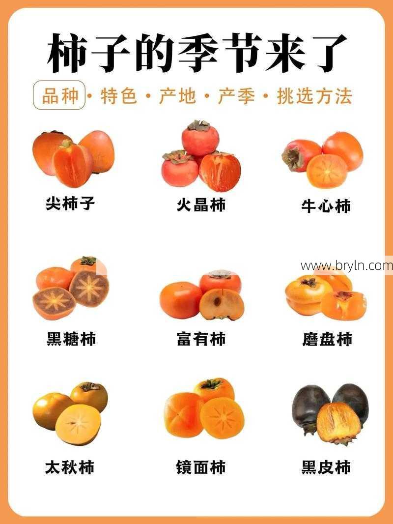 孕妇可以吃柿子吗(柿子吃对了，一身都是宝，但吃错要出事！爱吃柿子的一定要看)